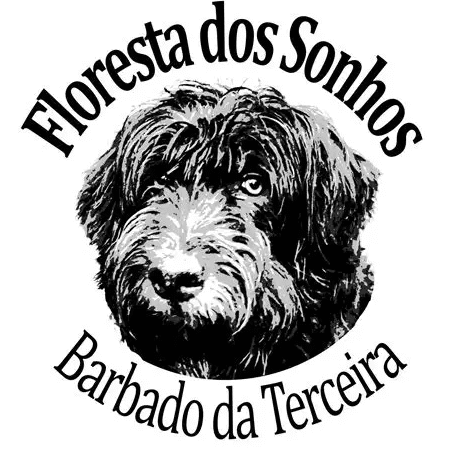 barbadodaterceira.nl